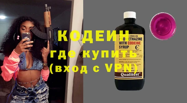 прущие грибы Гусь-Хрустальный