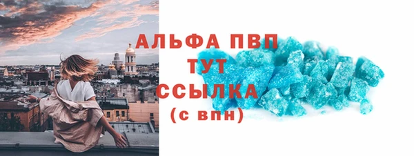 СК Гусев