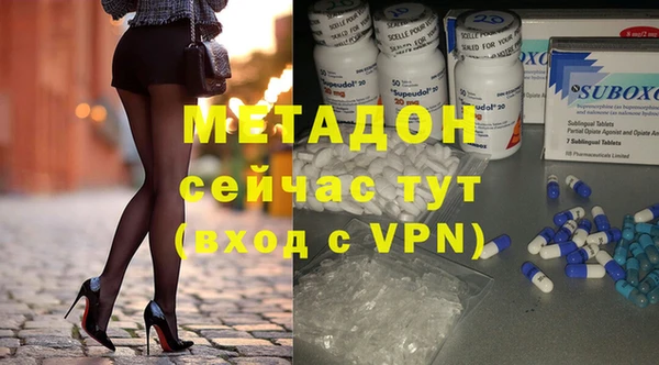 прущие грибы Гусь-Хрустальный