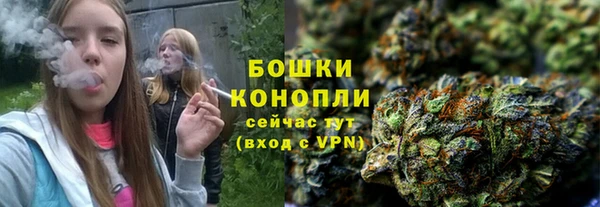 МДПВ Горно-Алтайск