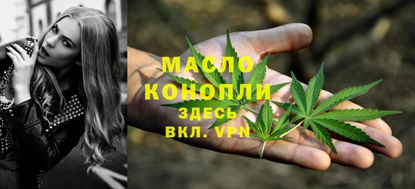 прущие грибы Гусь-Хрустальный